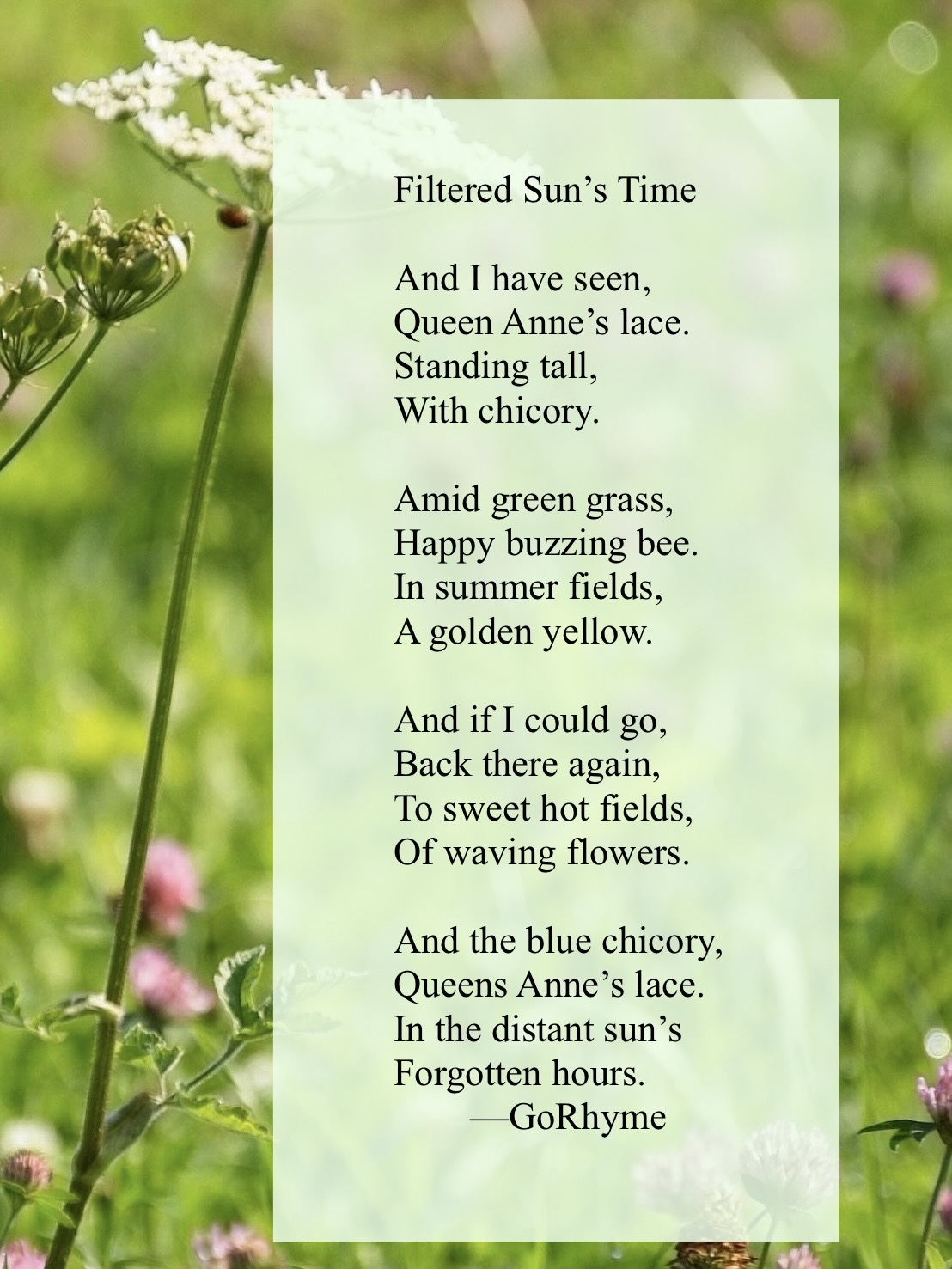 Poetry by Kelly Gray